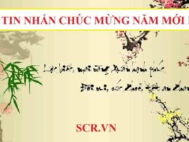 Tin Nhắn Hình Chúc Mừng Năm Mới 2024 (93+ SMS Chúc Tết Hay)