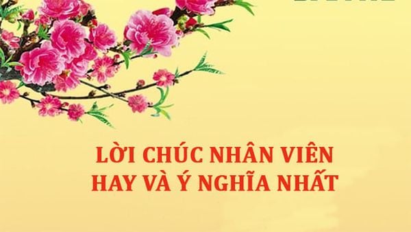 Lời chúc tết nhân viên - thư chúc tết cán bộ nhân viên hay và ý nghĩa