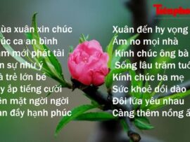 Lời chúc Tết Kỷ Hợi đem lại may mắn được chia sẻ nhiều nhất